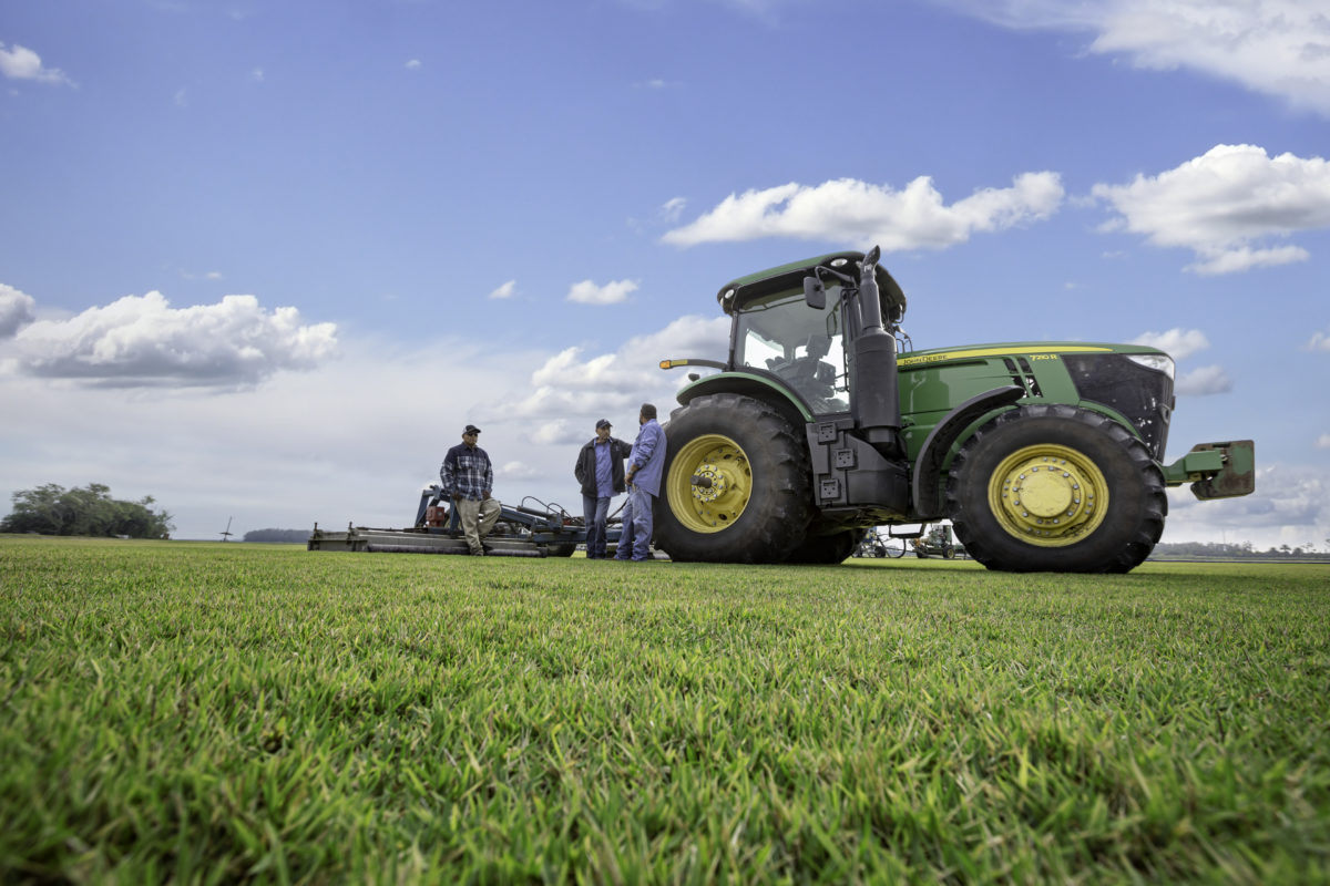 Home Page Collier County Family Farms Home Page Collier County Family Farms